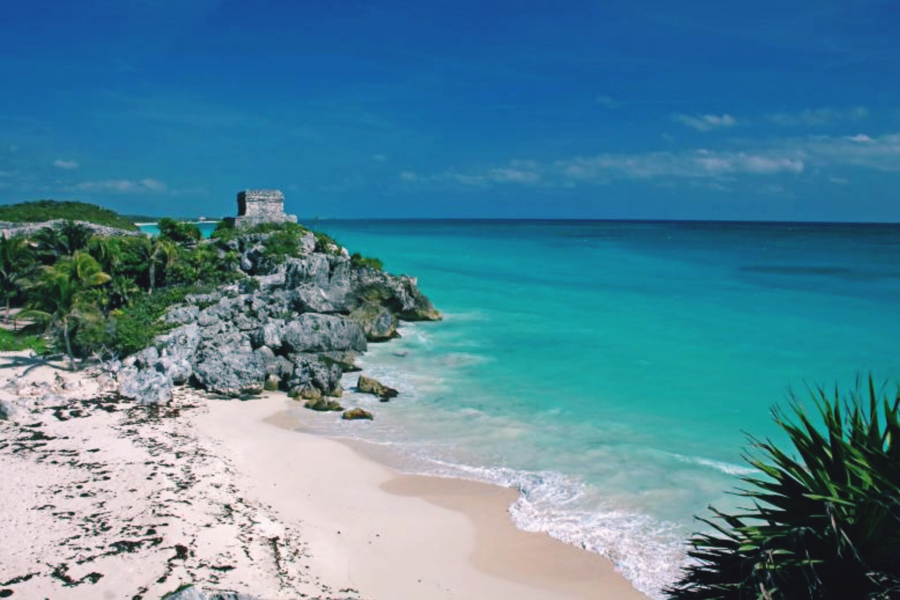 InShot_20200422_115221889